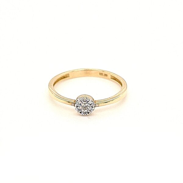 333/-Gelbgold Ring Lou-1